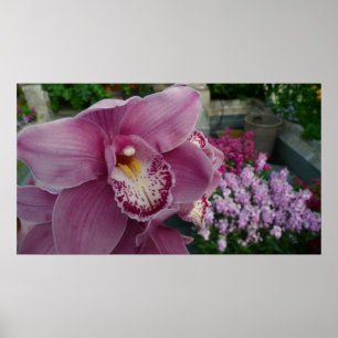 Purple Orchid and Garden Colourful Floral Poster