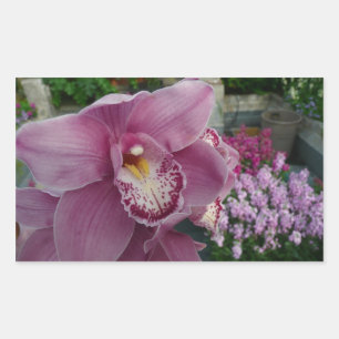 Purple Orchid and Garden Colourful Floral Rectangular Sticker