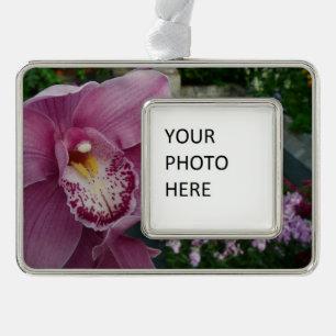 Purple Orchid and Garden Colourful Floral Silver Plated Framed Ornament