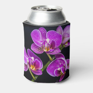 Purple orchid can cooler