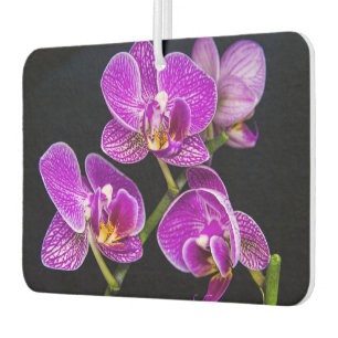 Purple orchid car air freshener