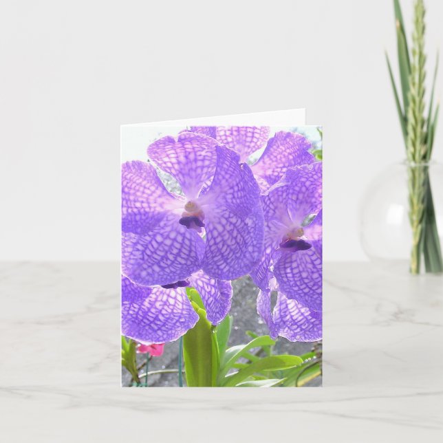 PURPLE ORCHID CARD (Front)