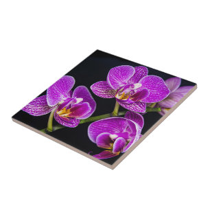 Purple orchid ceramic tile