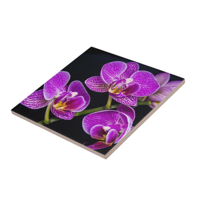 Purple orchid ceramic tile (Side)