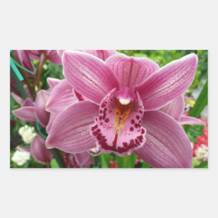 Purple Orchid Elegant Floral Botanical Rectangular Sticker