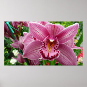 Purple Orchid Elegant Floral Poster