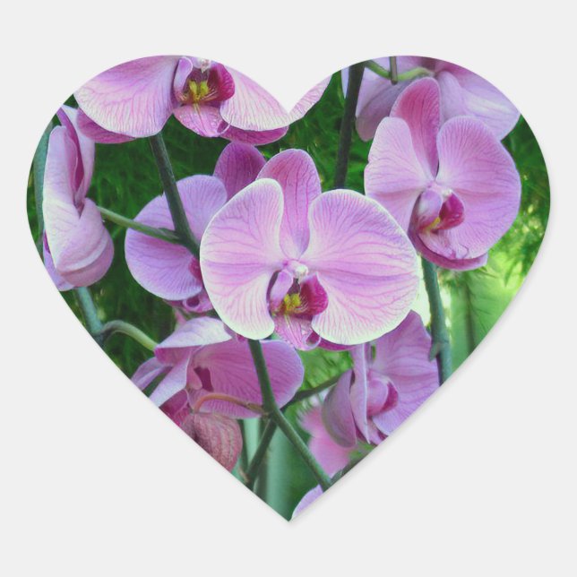 Purple Orchid Floral Photography Heart Sticker (Front)
