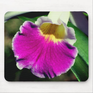 Purple Orchid Flower Mouse Pad