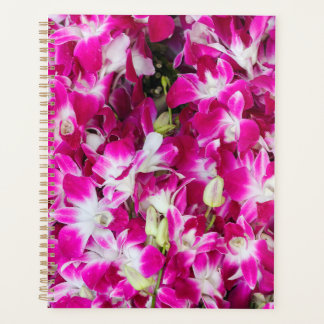 Purple orchid flowers background planner