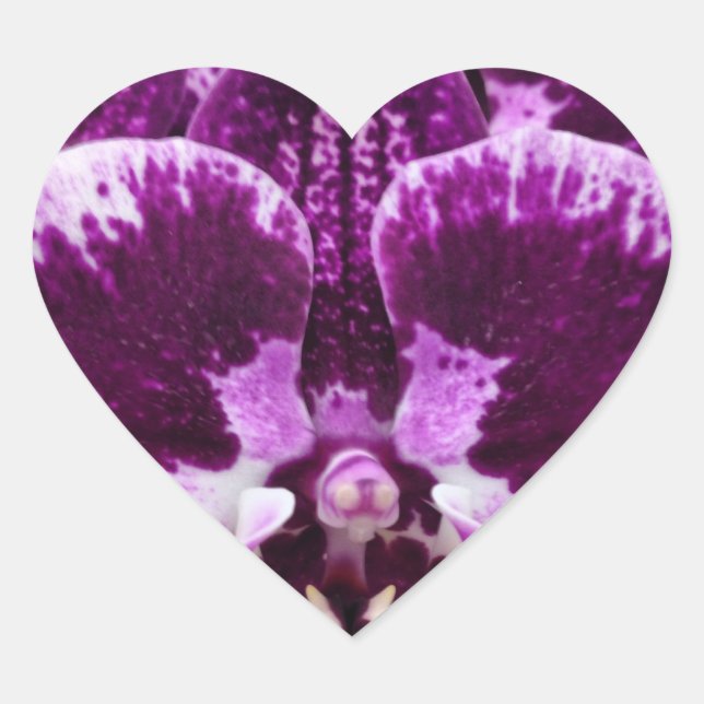 Purple Orchid Heart Stickers (Front)