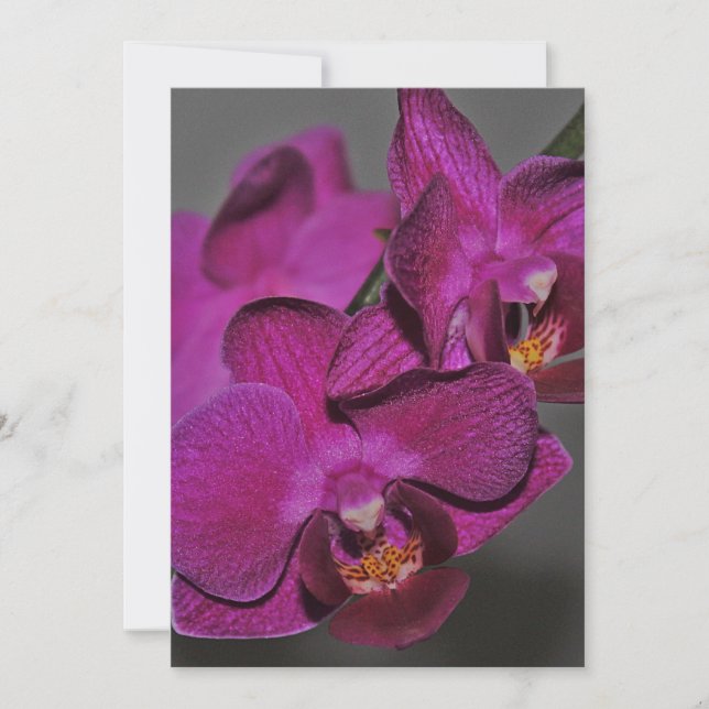 Purple Orchid Invitation (Front)