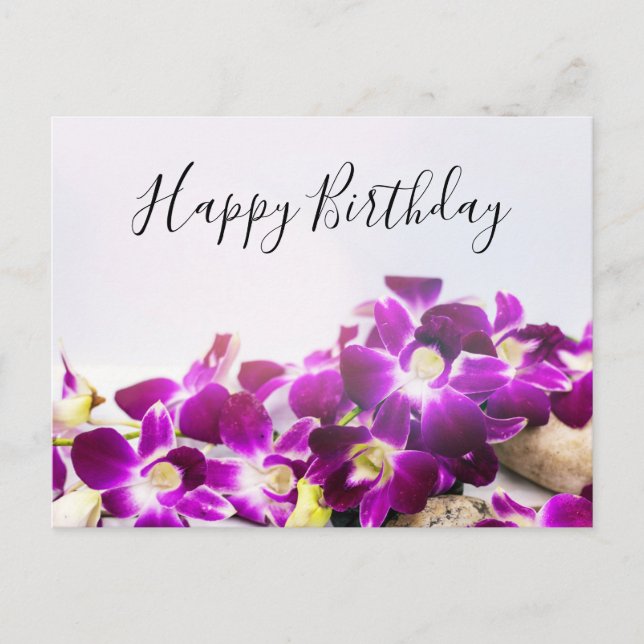 Purple Orchid is on white background birthday Postcard (Front)