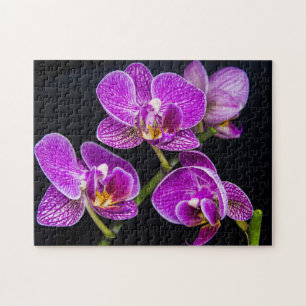 Purple orchid jigsaw puzzle