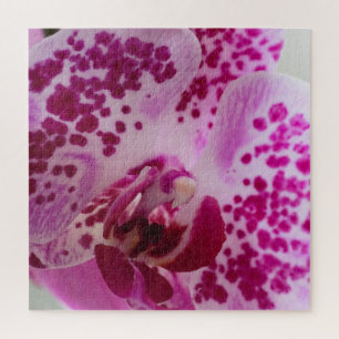 Purple Orchid Jigsaw Puzzle