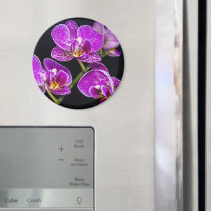 Purple orchid magnet