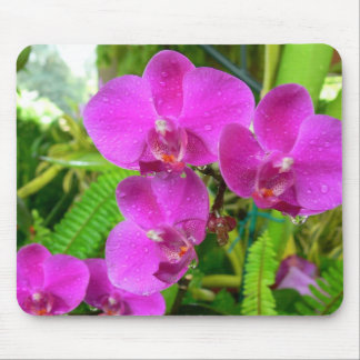 Purple Orchid Mouse Pad