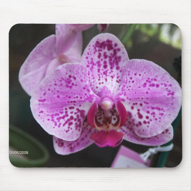 Purple orchid mouse pad (Front)