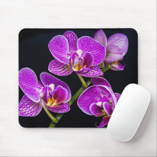 Purple orchid mouse pad