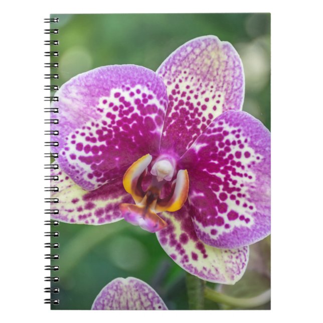 Purple orchid notebook (Front)