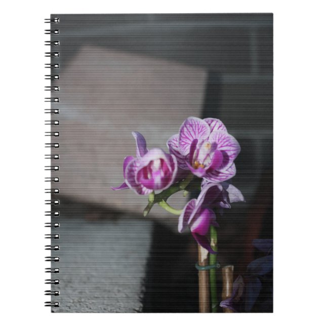 Purple Orchid Notebook (Front)