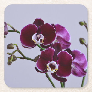 Purple Orchid Paper Coaster
