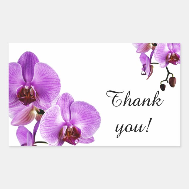 Purple orchid phalaenopsis thank you rectangular sticker (Front)