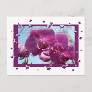 Purple Orchid Postcard