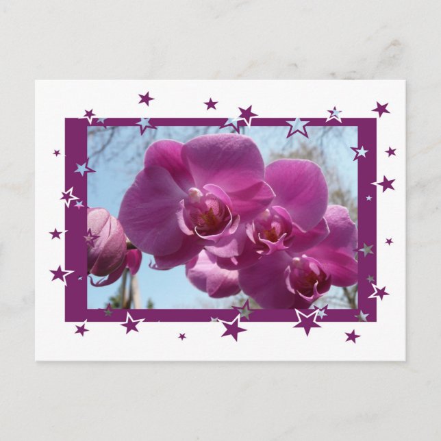 Purple Orchid Postcard (Front)
