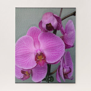 PURPLE ORCHID puzzle