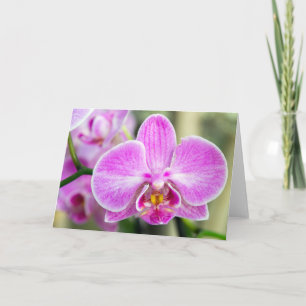 Purple Orchid Says Hi Card
