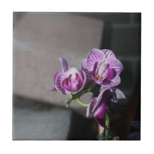 Purple Orchid Tile