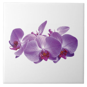 Purple Orchid Trio Ceramic Tile