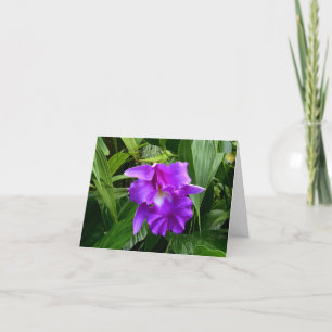Purple Orchid w Leaves Note Card