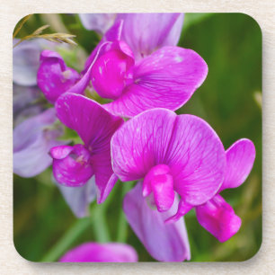 Purple Orchids Coaster