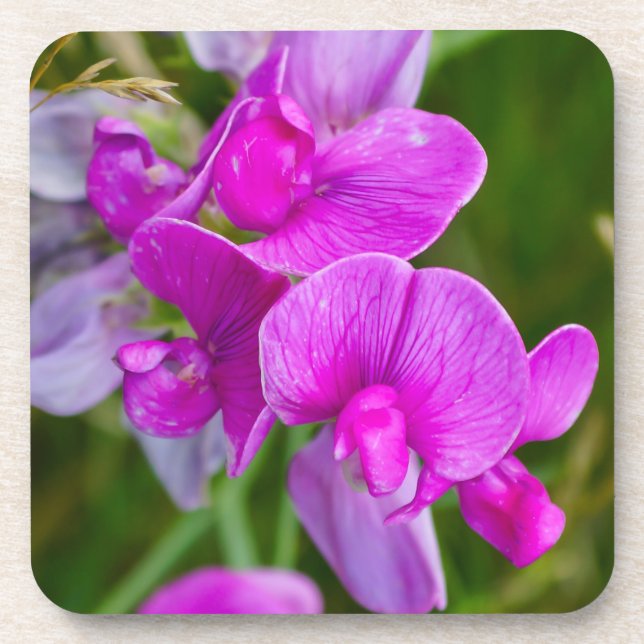 Purple Orchids Coaster (Front)