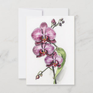 Purple Orchids Minimalistic Blank Thank You Card