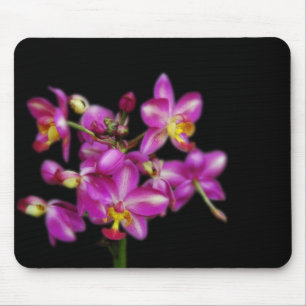 Purple orchids on Black background Mouse Pad
