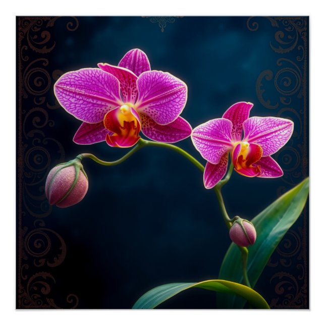 purple orchids poster (Front)