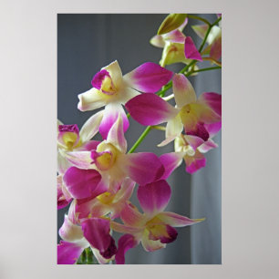 Purple Orchids Poster Print
