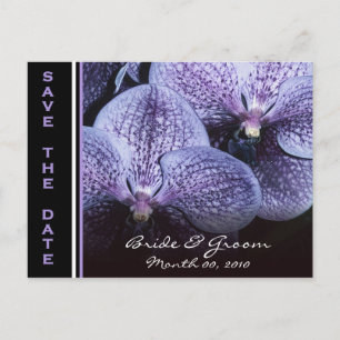 Purple Orchids Save the Date Postcards