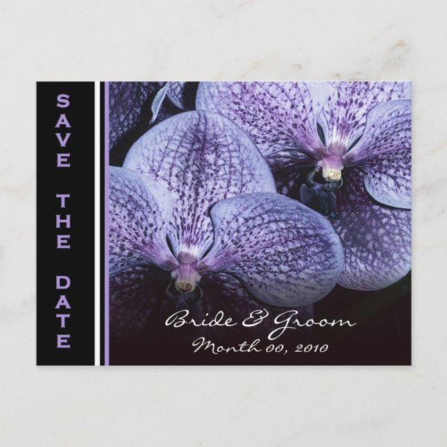 Purple Orchids Save the Date Postcards (Front)