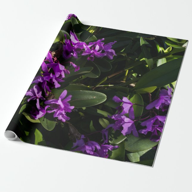 Purple orchids wrapping paper (Unrolled)