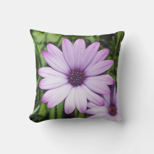 Purple Osteospermum flower Cushion