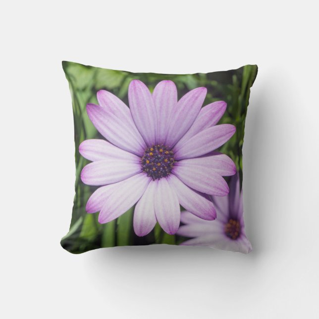 Purple Osteospermum flower Cushion (Front)