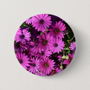 Purple Osteospermum Flowers 6 Cm Round Badge