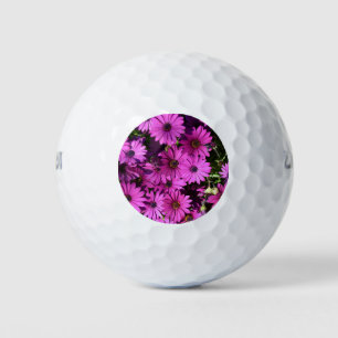 Purple Osteospermum Flowers Golf Balls