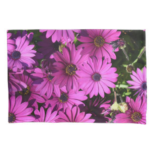 Purple Osteospermum Flowers Pillowcase