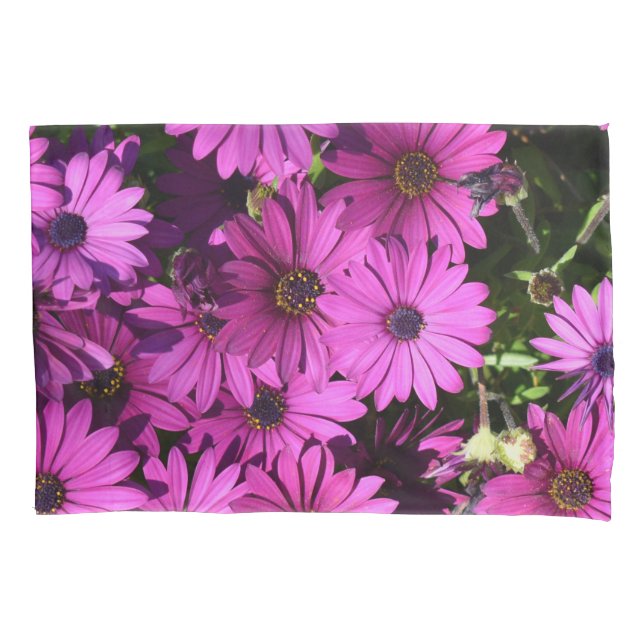 Purple Osteospermum Flowers Pillowcase (Front)