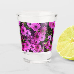 Purple Osteospermum Flowers Shot Glass