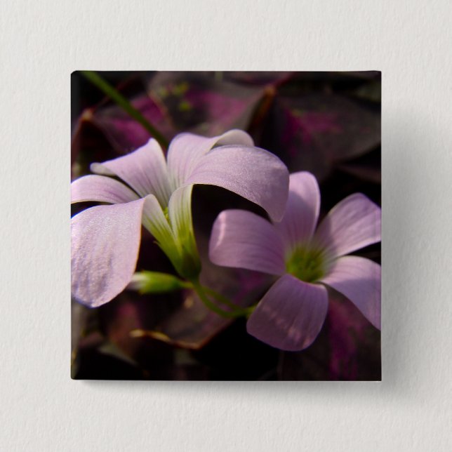 Purple Oxalis Blossoms 15 Cm Square Badge (Front)